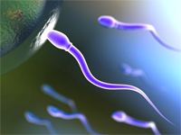 Астенозооспермия: лечение, причины и диагностика малоподвижных сперматозоидов